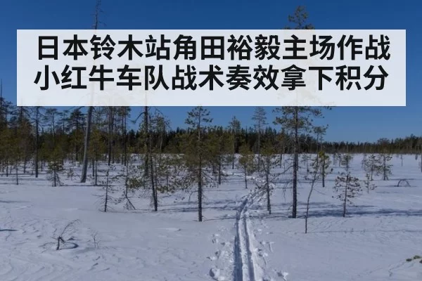 日本铃木站角田裕毅主场作战小红牛车队战术奏效拿下积分
